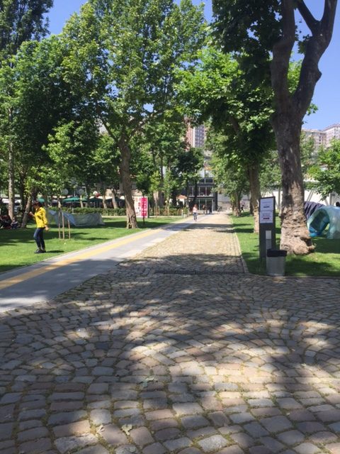 Auf dem Campus: Kopfsteinpflaster-Wege, Bäume und Gras