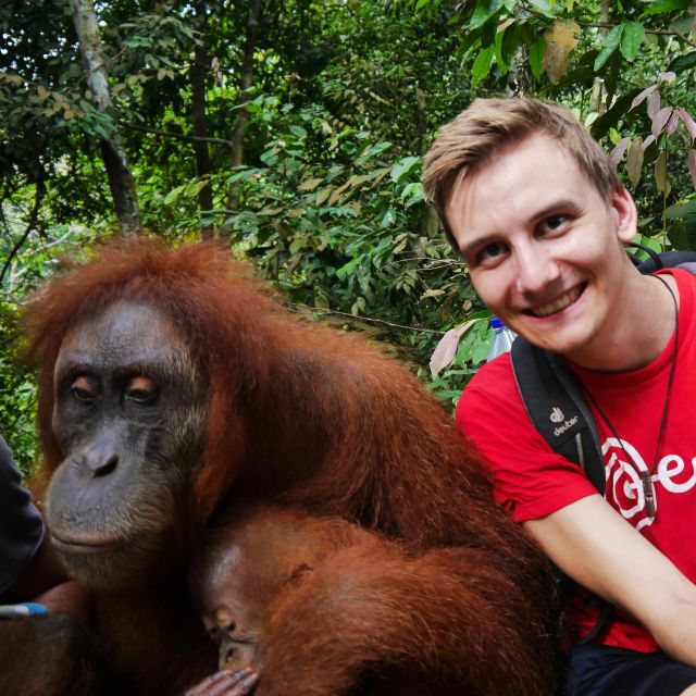 Selfie mit wilden Orang Utans im Dschungel von Sumatra, Indonesien