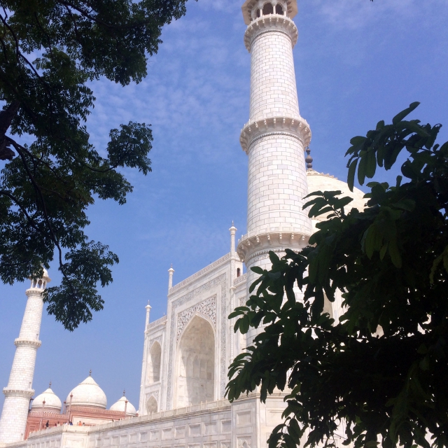 Der Marmor und die vielen Ornamente des wunderschönen Taj Mahal