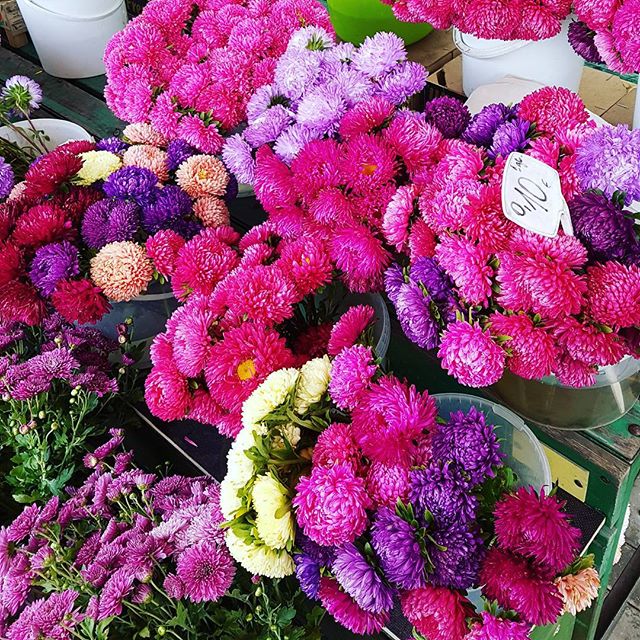 Blumen auf dem Riga Central Market