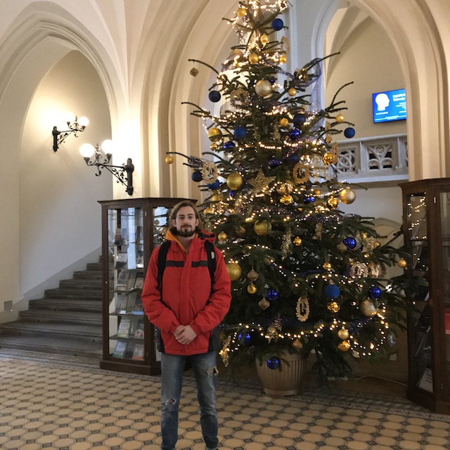 Weihnachtsdeko im Collegium Novum