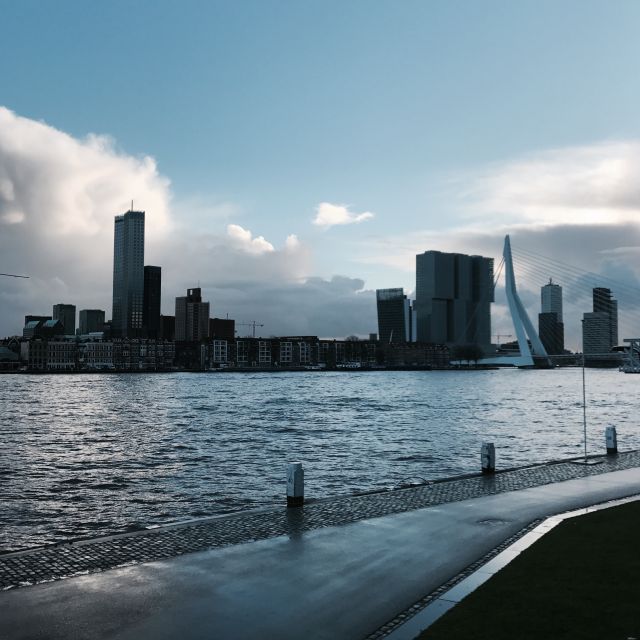 Das Ufer in Rotterdam