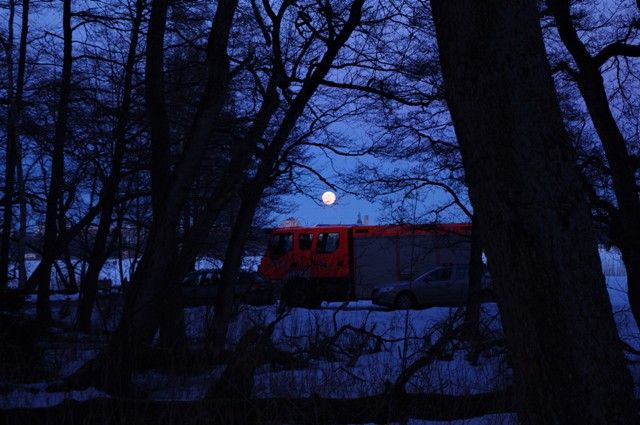 Hinter Bäumen parkt ein orangenes Einatzfahrzeug der Feuerwehr. Im Hintergrund steht schon der Mond am Himmel.