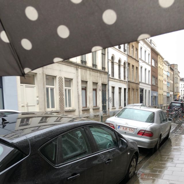 Regenschirm und graues Brüssel