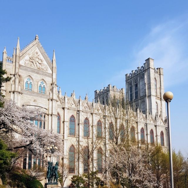 Kirschblüten an der Friedenshalle der Kyung Hee Universität