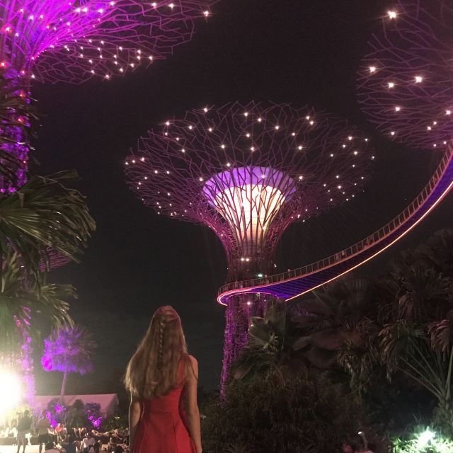 Super Tree Groves beim Gardens by the Bay