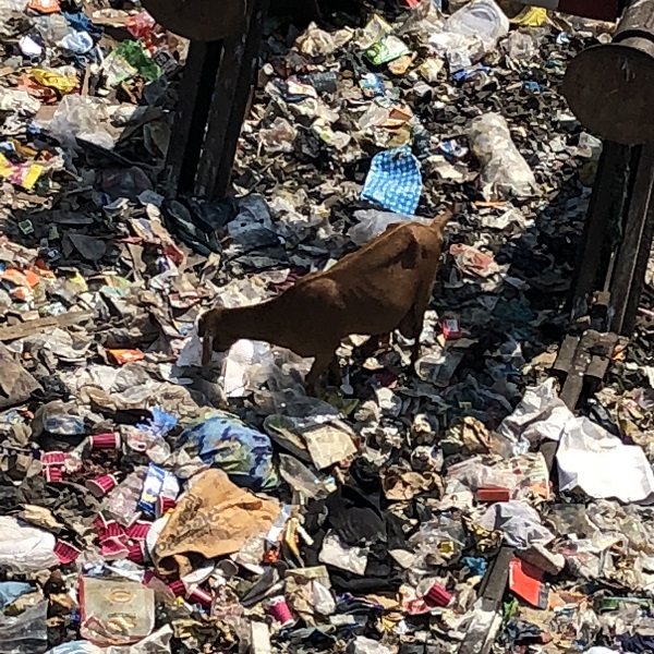 Müll in Mumbai