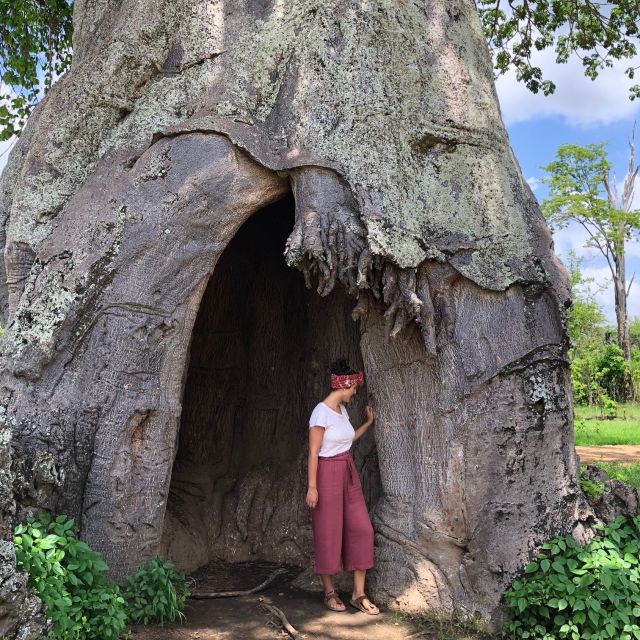 Anastasia vor riesigem Baobab-Baum