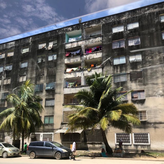Blockhaus mit Palmen im Vordergrund