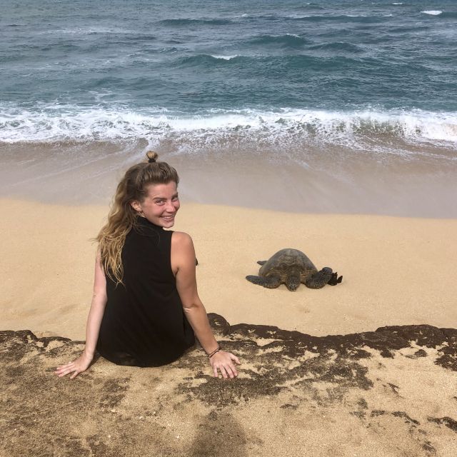 Schildkröte am Strand