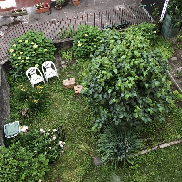 Garten von oben