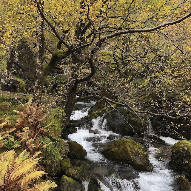 Herbst in Glen Coe