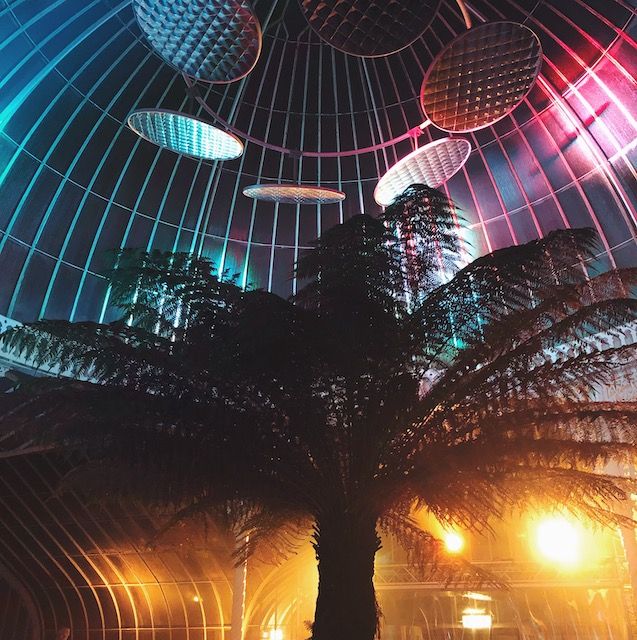 Der Botanische Garten wird für 'Glasglow' unterschiedlich beleuchtet. Der Botanische Garten wird für 'Glasglow' unterschiedlich beleuchtet.