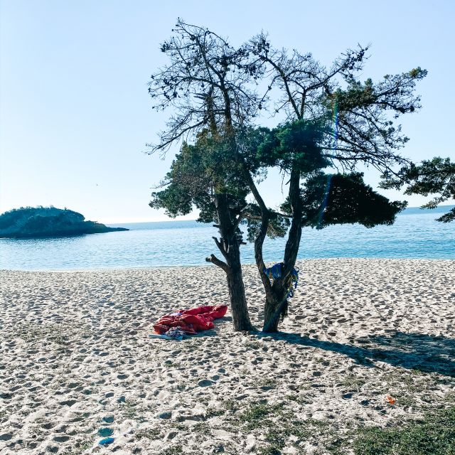 Strand mit kleinem Baum und Schlafsack unter dem Baum. Im Hintergrund das Meer.