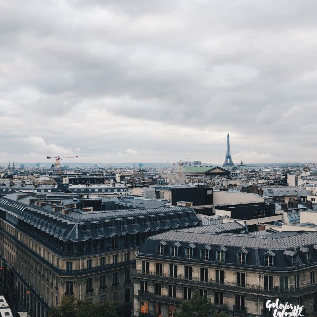 Dächer von Paris