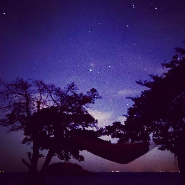 Hängematte zwischen zwei Bäumen unter dem Sternenhimmel.