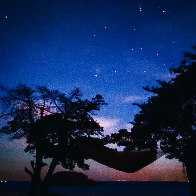 Hängematte zwischen zwei Bäumen unter dem Sternenhimmel.