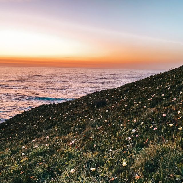 Grüner Hang mit weißen Blumen und im Hintergrund das Meer und Sonnenuntergang.