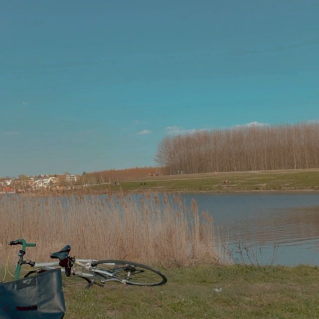 Fahrrad und See