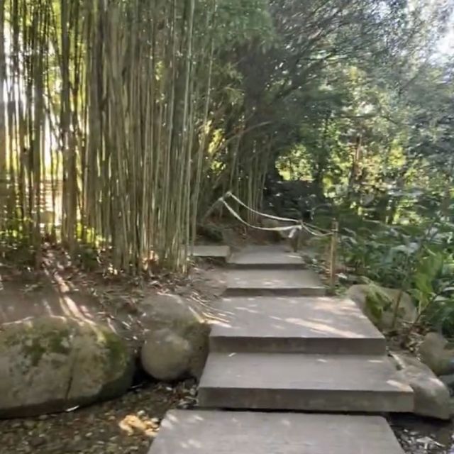 Weg durch Bambus im Park.