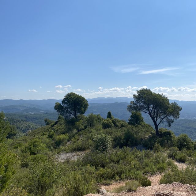 B3d9c2f7-18dd-4410-828e-da9fe91ff767 Ausblick über eine typische spanische Landschaft.