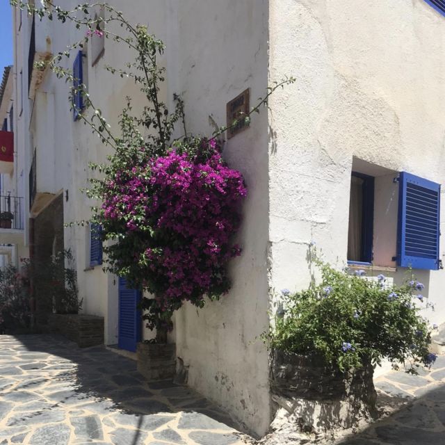 A5a64334-683c-458d-8249-44870173cda2 Ein Haus mit blauen Fenstern und lilanen Blumen an der Wand.