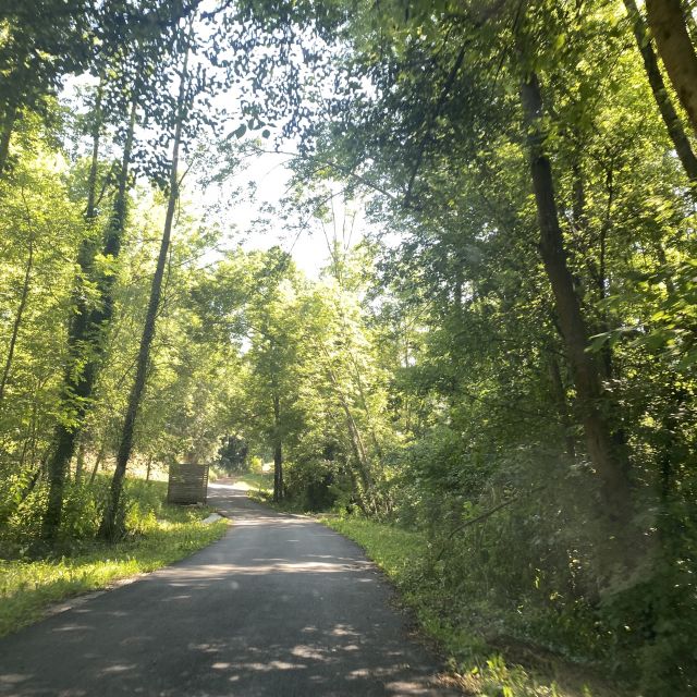 1aa69ad8-45df-40a7-9d14-6db527a1a3a2 Eine kleine enge Straße, umgeben von Bäumen.