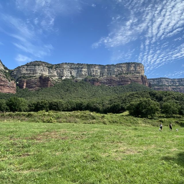 7e20d009-285c-451f-bd3c-1faaccad2240 Berge und grüne Wiesen unter blauem Himmel.