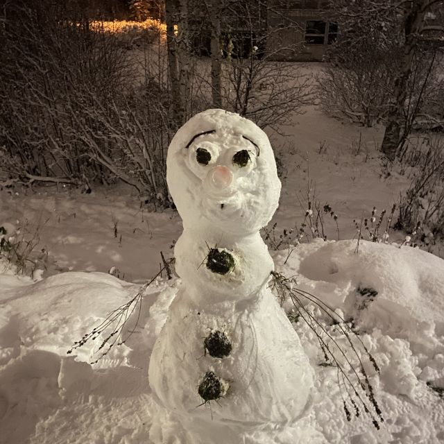 Ein Schneemann der dem Filmcharakter "Olaf" ähnelt