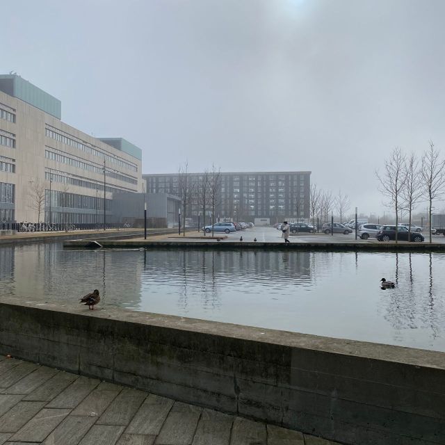 kleiner Teich auf dem Campus Kopenhagen