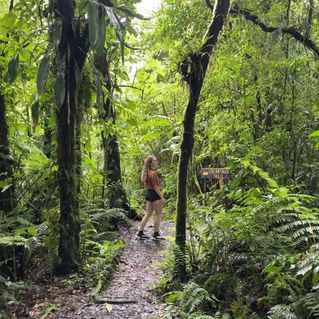 Carla steht im Regenwald an einer Abzeweigung, an der ein großes Schild die Wege markiert