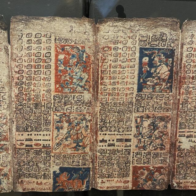 Maya Codex