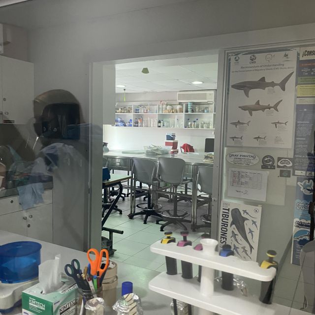 Blick in ein kleines Biologie-Labor