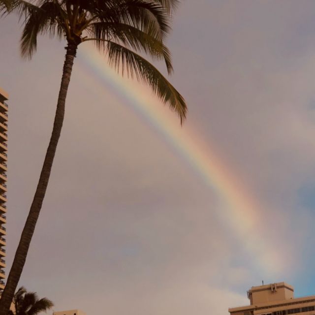 Regenbogen in Honolulu 