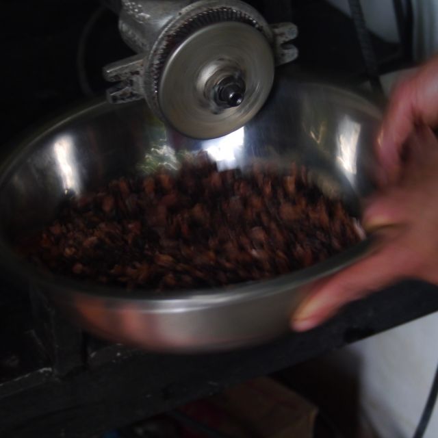 In einer Metallschüssel gesammelte Kakaonibs.