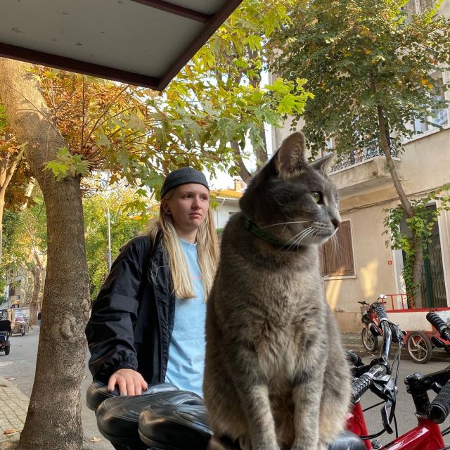 Eine Katze sitzt auf einem Fahrradsessel.