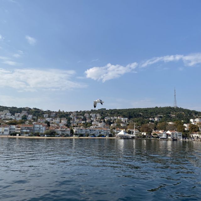 Eine Möwe fliegt am Hafen von Kınalıada Mahallesi vorbei.