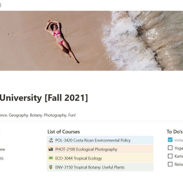 Eine Website mit der Überschrift "Veritas University" auf einem Bild von Carla am Strand. Darunter sind informationen gruppiert wie Kurslisten, die nächsten To-Do's oder Links zu wichtigen Seiten.