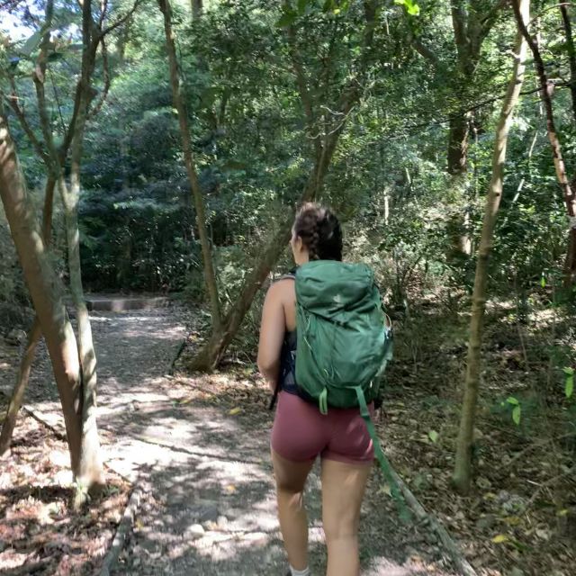Carla läuft durch einen trockenen Wald, mit kurzer Radlerhose, Top und grünem Tagesrucksack.