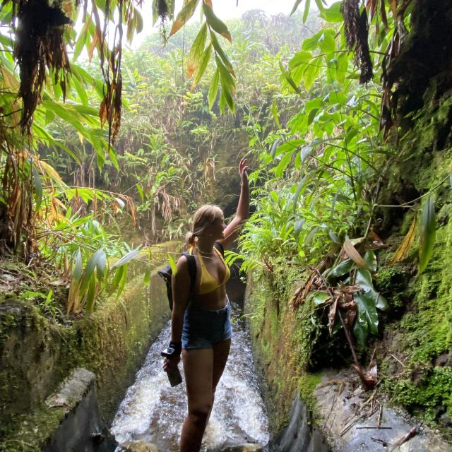 Victoria im Jungle am Anfang eines wassertunnels