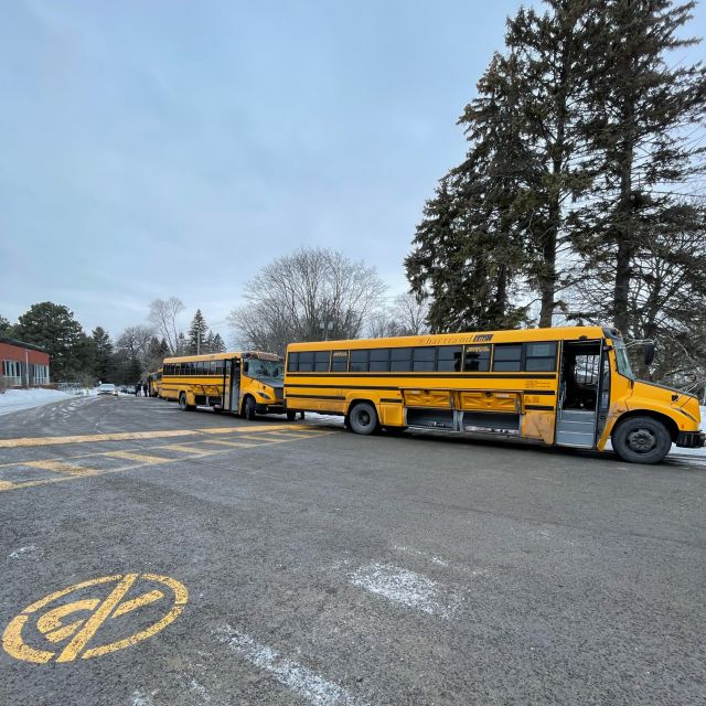 Gelbe Schulbusse stehen auf dem Parkplatz vor der Schule.