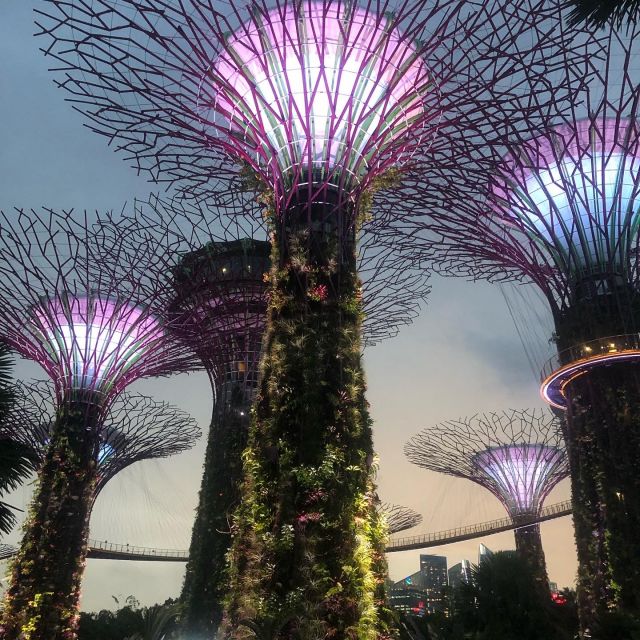 Supertree Grove