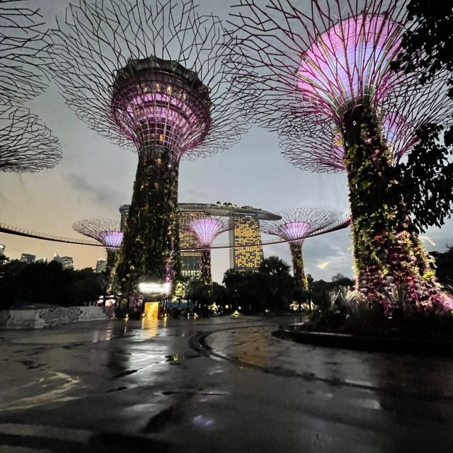 Supertree Grove