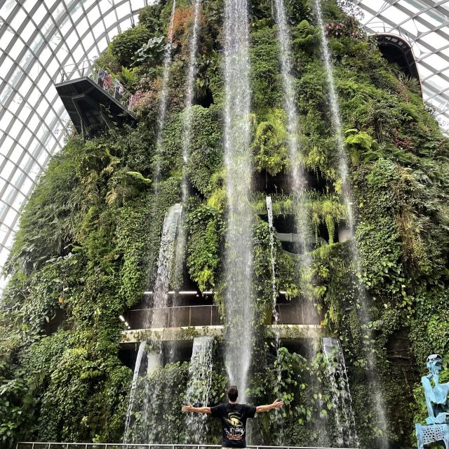 Cloud Forest
