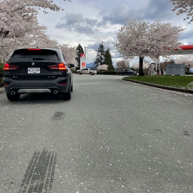 Schwarzer BMW von hinten, Reifenspuren sind auf dem Teer erkennbar, im Hintergrund sieht man eine Tankstelle und einige Kirschbäume blühen