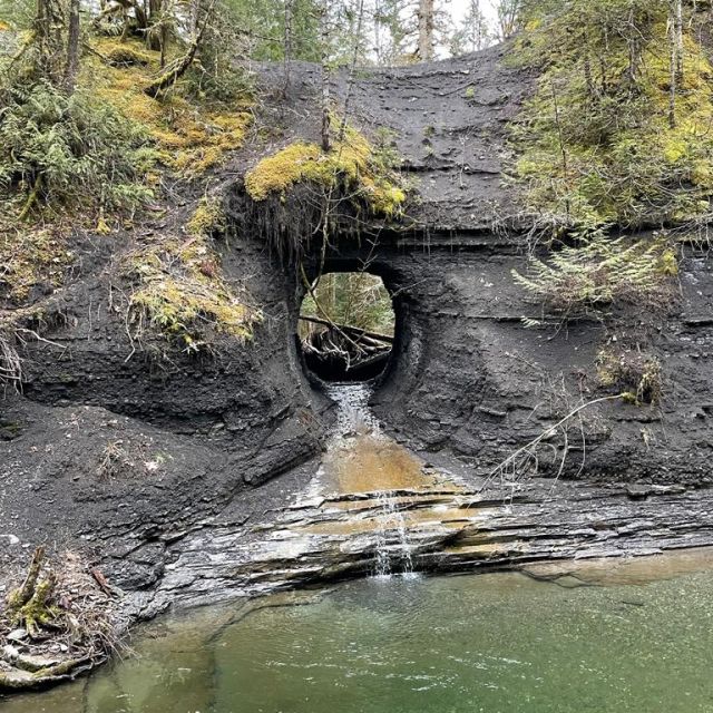 Ein großes rundes Loch in einer schwarzen Felswand. darauf wachsen Bäume und davor fließt ein Fluss. Durch das Loch fließt ebenfalls Wasser.