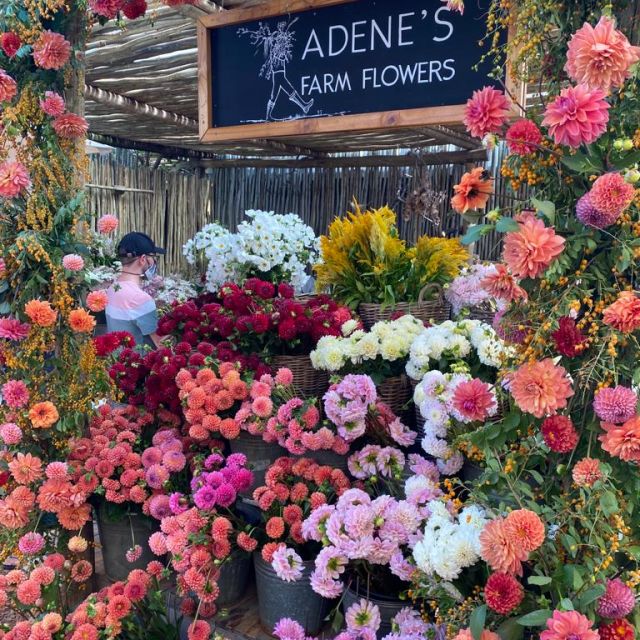 Ein Blumenmeer als Verkaufsstand beim Oranjezicht City Farm Market