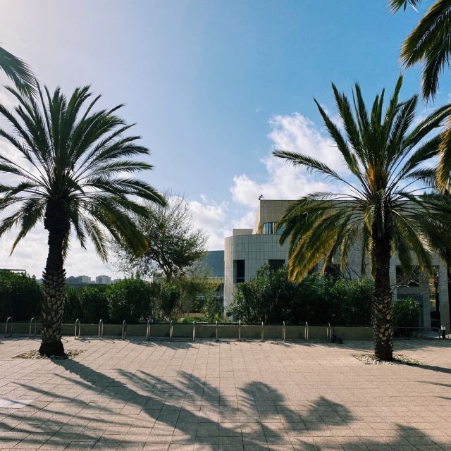 Auf dem Foto sind rechts und links Palmen zu sehen. Die linke Palme wirft einen Schatten auf den Asphalt. Im Hintergrund sind mittig ein Gebäude und dahinter der Himmel mit ein paar Wolken zu sehen.