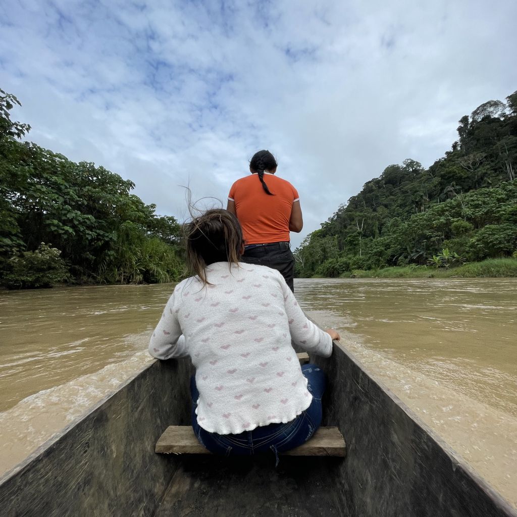 Raus aus der Komfortzone, rein in den Amazonas