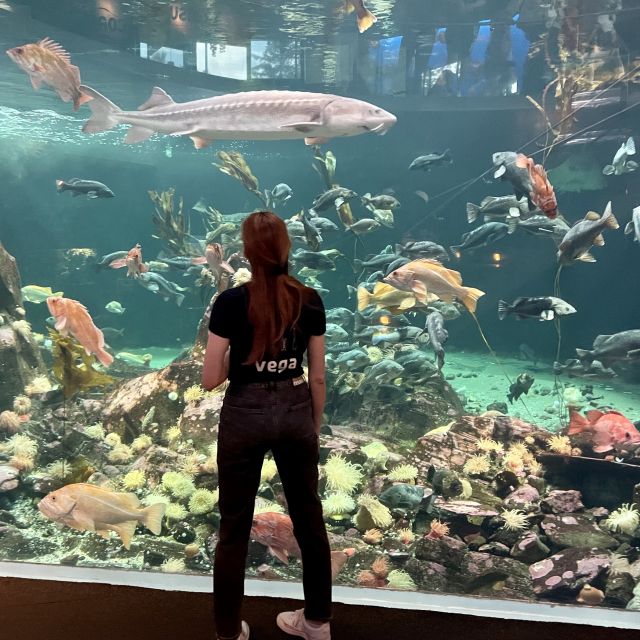 Ronja vor einem großen Aquarium mit vielen Fischen. Zentral vor ihr schwimmt ein großer Fisch.